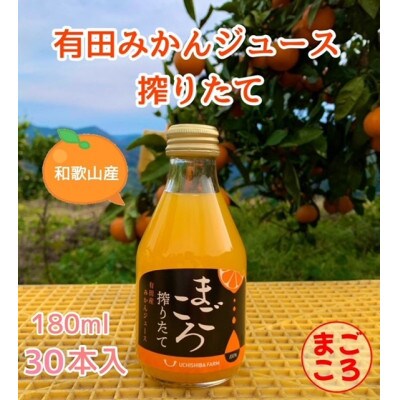 【まごころ】有田みかんジュース100%　180ml　30本