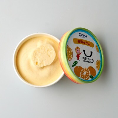 有田みかんジェラートアイス　4個入り