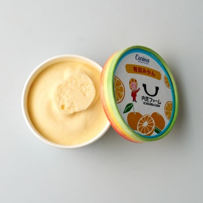 有田みかんジェラートアイス　8個入り