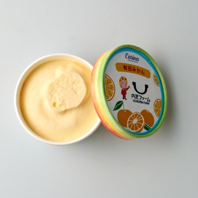 有田みかんジェラートアイス　12個入り