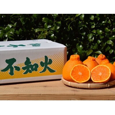 【2027年2月上旬より順次発送】和歌山産　不知火　(デコポン)　約4kg　【まごころ手選別】