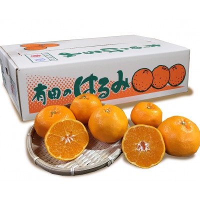 【まごころ手選別】和歌山産　はるみ　約5kg　12玉～18玉(3L～Lサイズ)【2027年発送】