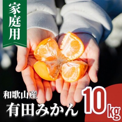 【2026年11月より順次発送】和歌山産 有田みかん 約10kg 家庭用【まごころ手選別】