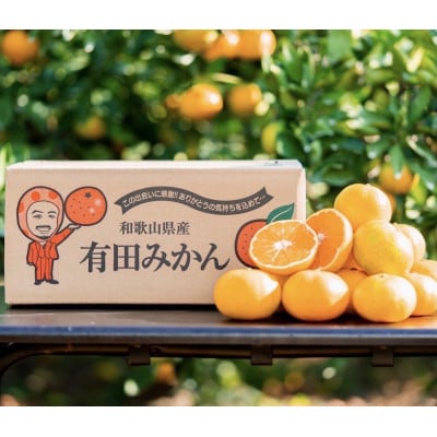 【先行受付2026年11月より順次発送】有田みかん　10kg(2S～Lサイズ混合)【まごころ手選別】