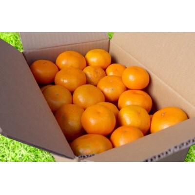 【先行受付2026年11月より順次発送】有田みかん3kg小玉(2S～Sサイズ混合)【まごころ手選別】