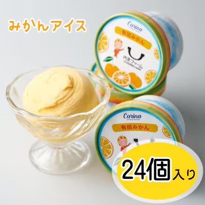 有田みかんジェラートアイス　24個入り