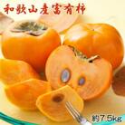 和歌山産富有柿約7.5kg(L～4Lサイズおまかせ)(印南町)