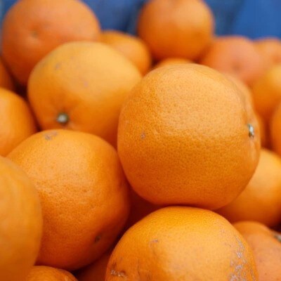 みかんをまるごと! スムージーゼリー みかん 150g×6本セット