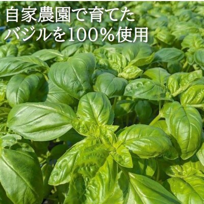 濃厚・無添加　バジルソース(ジェノベーゼソース)　瓶　100g×10本