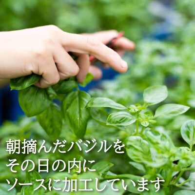 濃厚・無添加　バジルソース(ジェノベーゼソース)　瓶　100g×10本