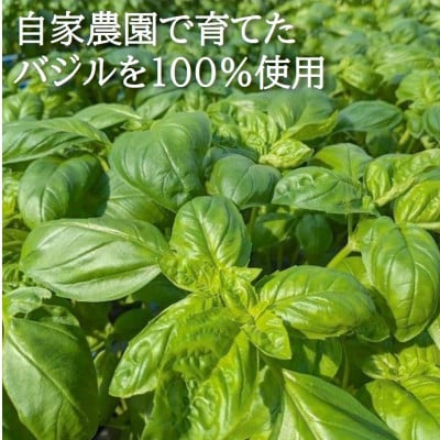 濃厚・無添加　バジルソース(ジェノベーゼソース)　瓶　100g×3本
