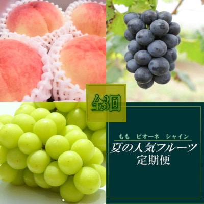 【発送月固定定期便】和歌山の夏の人気フルーツ定期便(桃・たねなしピオーネ・シャインマスカット)全3回
