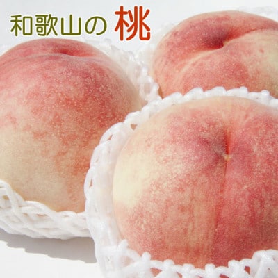【発送月固定定期便】和歌山の夏の人気フルーツ定期便(桃・たねなしピオーネ・シャインマスカット)全3回