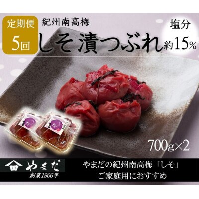 【2ヵ月毎定期便】紀州南高梅しそ漬つぶれ(塩分約15%)全5回