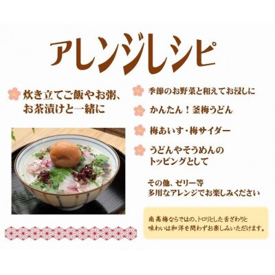 【3ヵ月毎定期便】紀州南高梅しそ漬つぶれ(塩分約15%)全3回