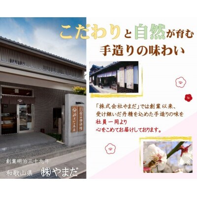 【3ヵ月毎定期便】紀州南高梅しそ漬つぶれ(塩分約15%)全3回