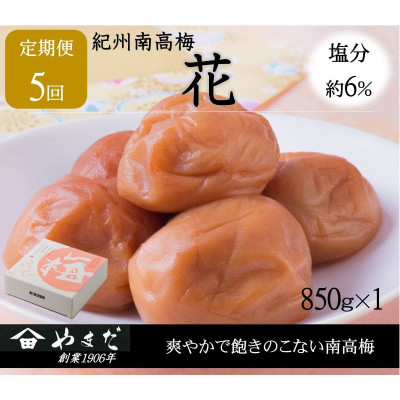 【2ヵ月毎定期便】紀州南高梅「花」塩分約6%(850g)全5回