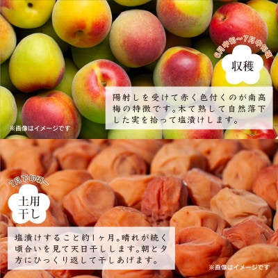 紀州南高梅つぶれ梅　はちみつ漬　400g×3パック　塩分8%