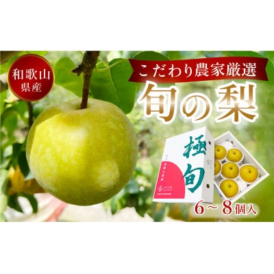 先行予約!　旬の梨　極上秀品(中玉～大玉)6～8個入り　2025年8月中旬頃から発送