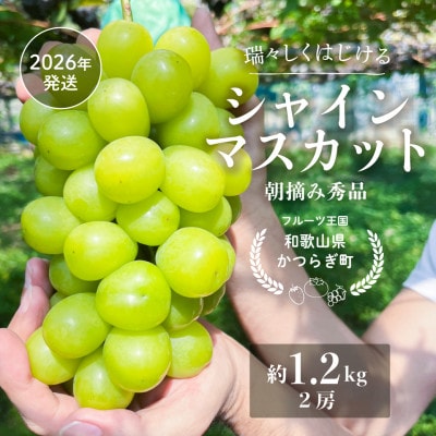 ぶどう先行予約!　シャインマスカット秀品　2房(約1.2kg)こだわり農家厳選!