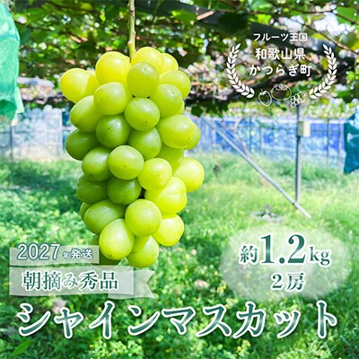 ぶどう先行予約!　シャインマスカット秀品　2房(約1.2kg)こだわり農家厳選!