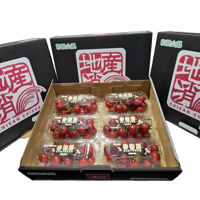 赤糖房(ミニトマト)【160g×6パック】