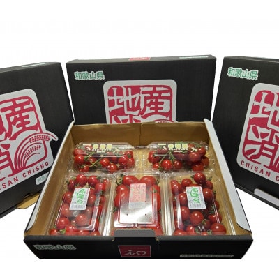 ミニトマト詰合せセット