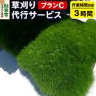 草刈代行サービス プランC(作業目安:3時間) 【秋田県秋田市】|15_hta-010301