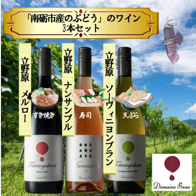 【ワインコンクール受賞】Domaine  Beau 「南砺市産のぶどう」立野原ワイン3本セット