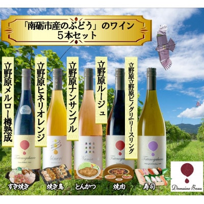 【ワインコンクール受賞】Domaine Beau 「南砺市産のぶどう」立野原ワイン5本セット