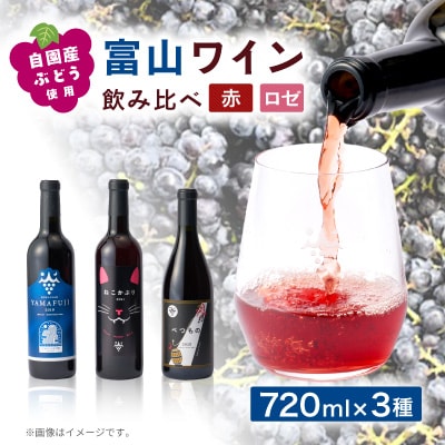 富山ワイン3本セット
