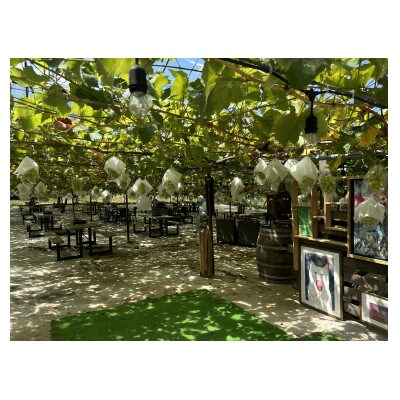 ぶどうジュース、ぶどうとしょうがのシロップセット