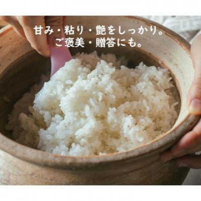 有機米コシヒカリ白米「棚田tanada」有機JAS認証米　3kgサイズ
