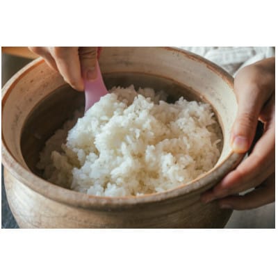 【毎月定期便】有機米コシヒカリ白米「棚田tanada」有機JAS認証米　3kgサイズ全3回