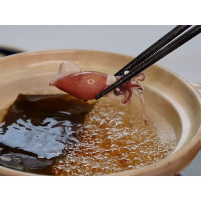 急速冷凍 生ほたるいか