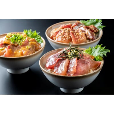 天然ぶり丼の具セット