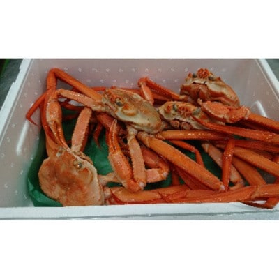 紅ズワイガニ2kg(足とれ含む)