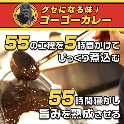 「元気の源」　ゴーゴーカレー中辛　20袋　レトルト　くせになる味