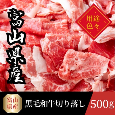 富山県産黒毛和牛切り落とし 計500g