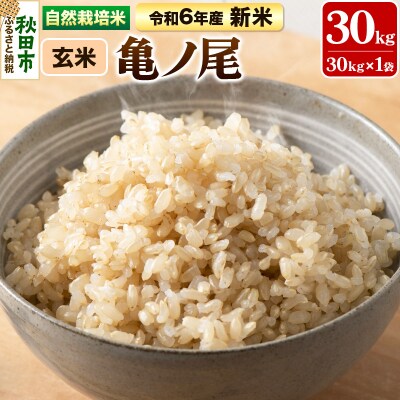 もち米無農薬】令和6年産30キロ 2袋限定