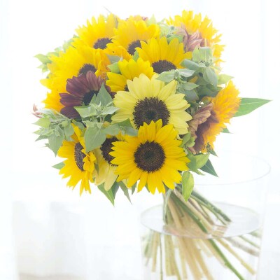 毎月届く旬のお花(12回/1年間)