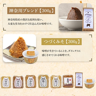 【味噌 神奈川県 小田原市】いいちみそ8種セット(計3.6kg)