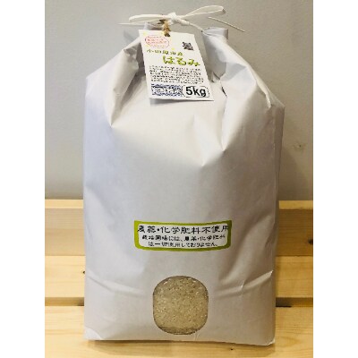 令和6年産 小田原の米「栽培期間中農薬・化学肥料不使用はるみ」15kg(5kg×3)