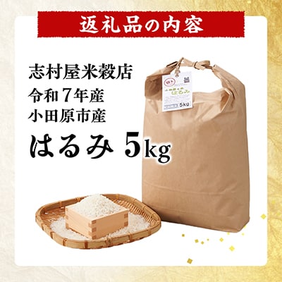 令和7年産 小田原の米「はるみ」5kg