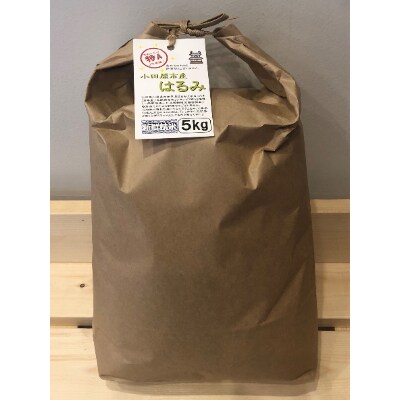 令和6年産 小田原の米「はるみ」10kg(5kg×2)