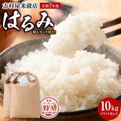 令和7年産 小田原の米「はるみ」10kg(5kg×2)