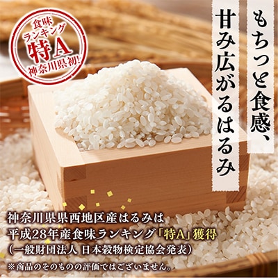 令和7年産 小田原の米「はるみ」15kg(5kg×3)