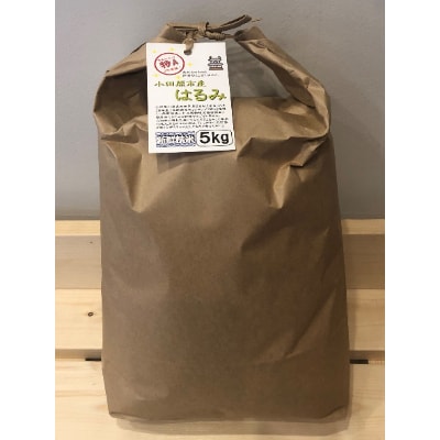 令和6年産 小田原の米「はるみ」20kg(5kg×4)