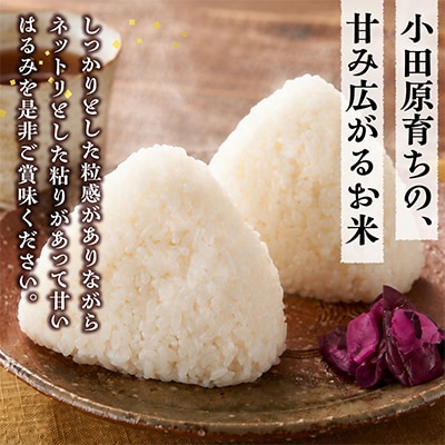 令和7年産 小田原の米「はるみ」20kg(5kg×4)