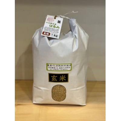 令和6年産 小田原の米「栽培期間中農薬・化学肥料不使用 はるみ」玄米 20kg(5kg×4袋)